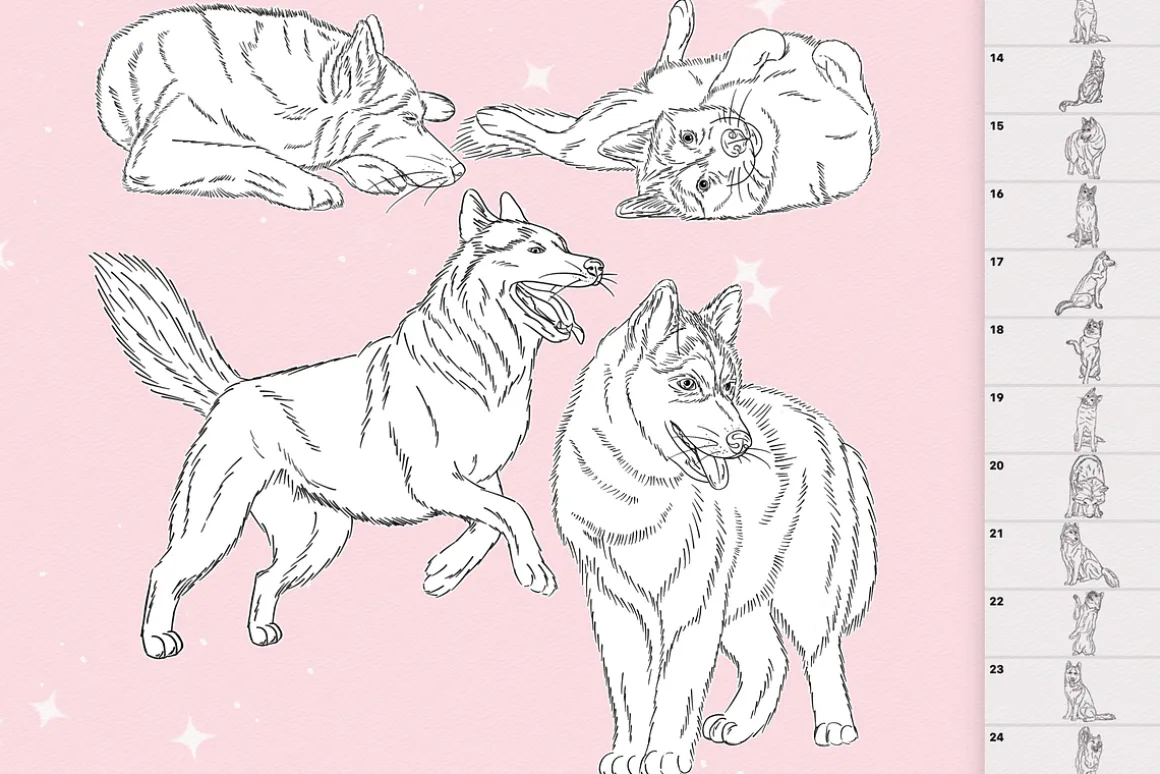 Dog husky Procreate Photoshop brush