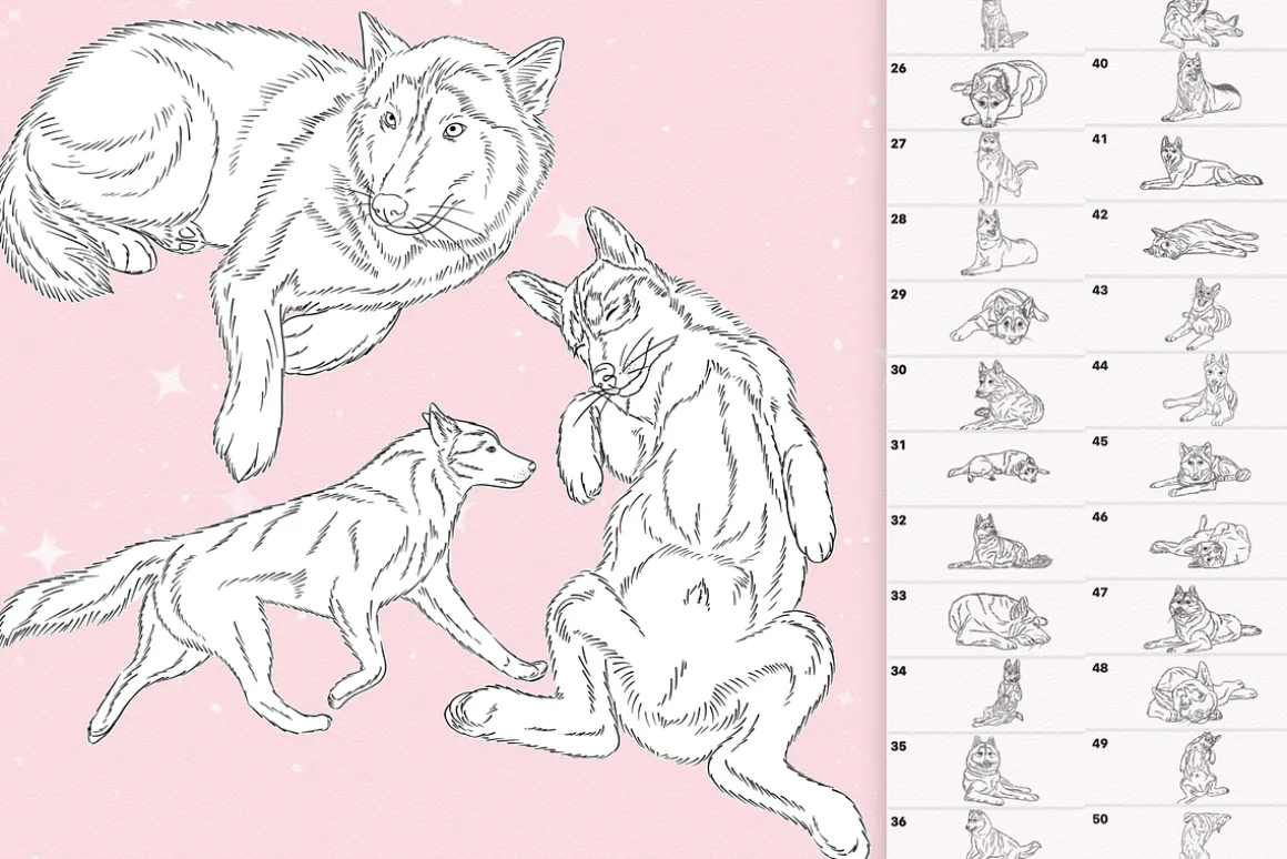 Dog husky Procreate Photoshop brush