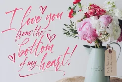 Dorrotthy script: 3 fonts & swashes