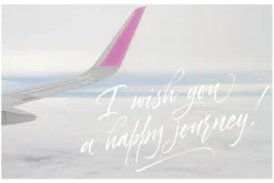 Dorrotthy script: 3 fonts & swashes