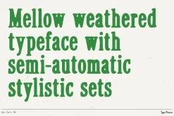 Dot Gain TM – Cozy Serif