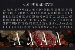 Dream Reacher Font