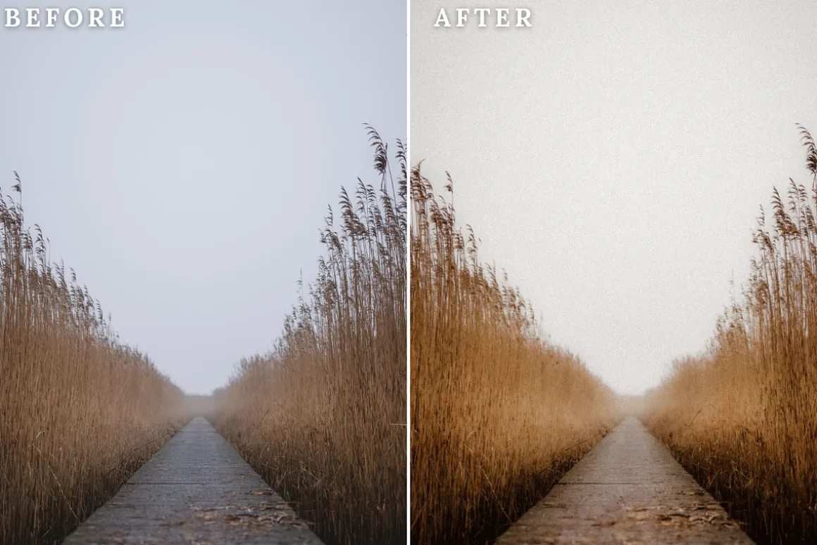 Dreamy Lightroom Presets
