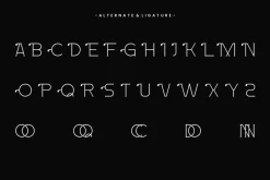 Drooma - Thin Sans Font