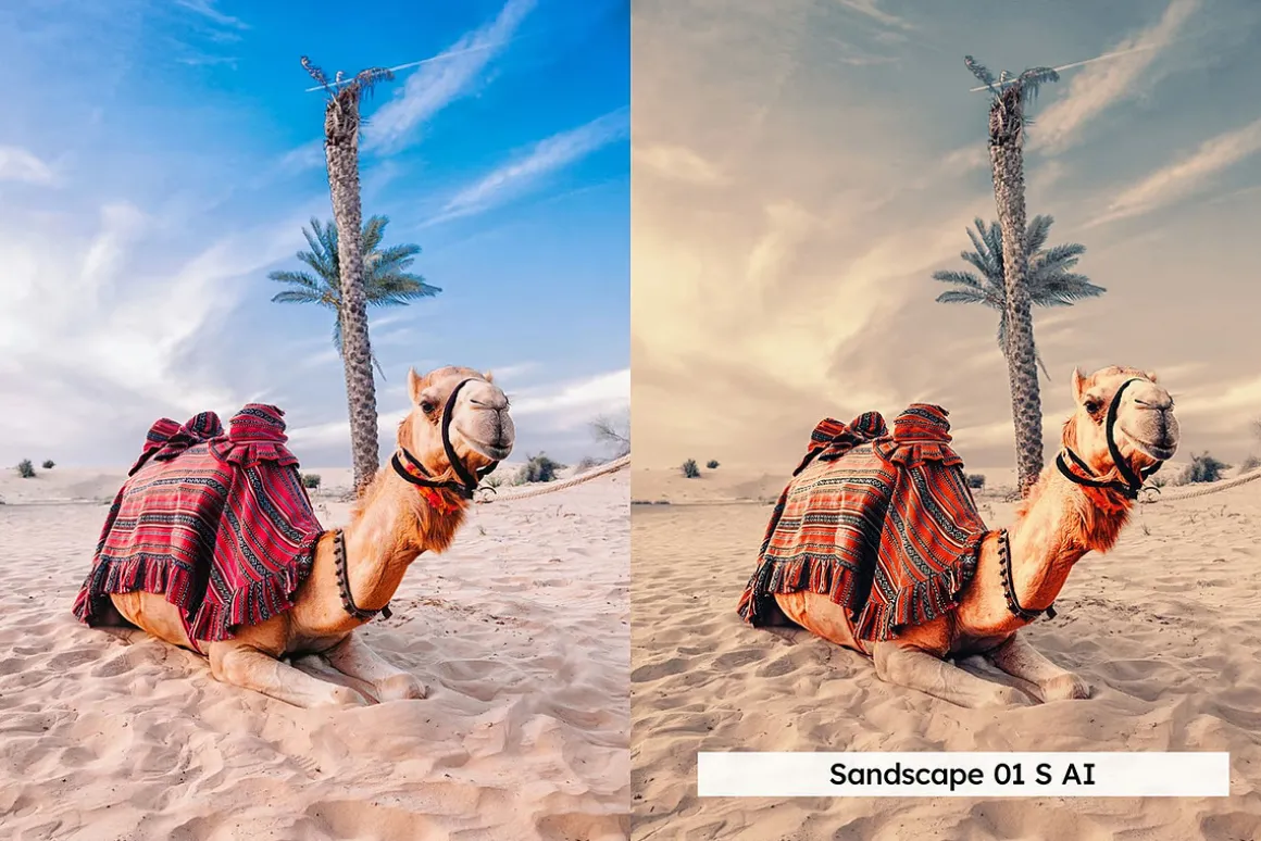 20 Dubai Lightroom Presets and LUTs