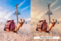 20 Dubai Lightroom Presets LUTs