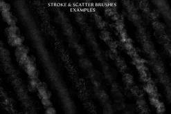 68 Dust Brushes & Overlays