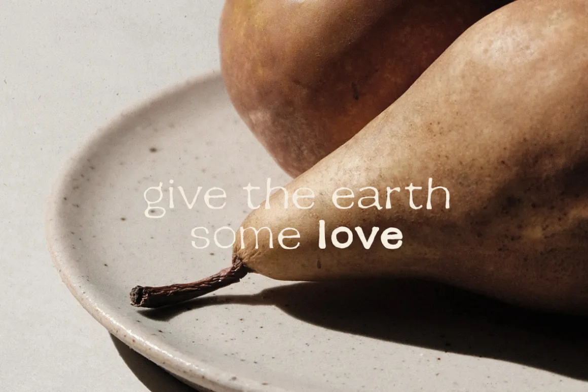 Earth Tone - Organic Sans Family