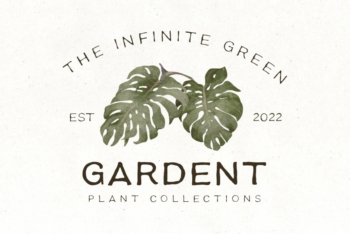 Earth Tone - Organic Sans Family