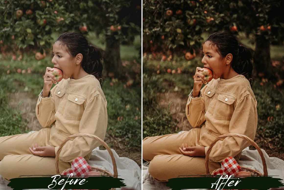Earthy Tones Lightroom Presets