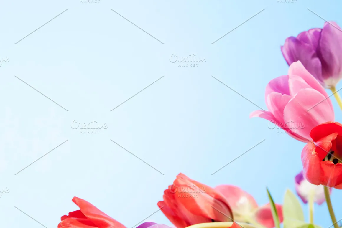20 Easter Stock Photos - 81% OFF