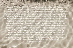 Editor's Note Display