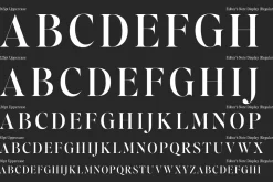 Editor's Note Display
