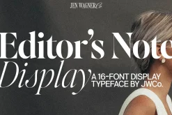 Editor's Note Display