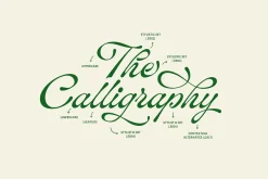 ED Lavonia - Classy Script