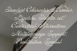 ED Lavonia - Classy Script