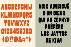 ED Tortona - Display font