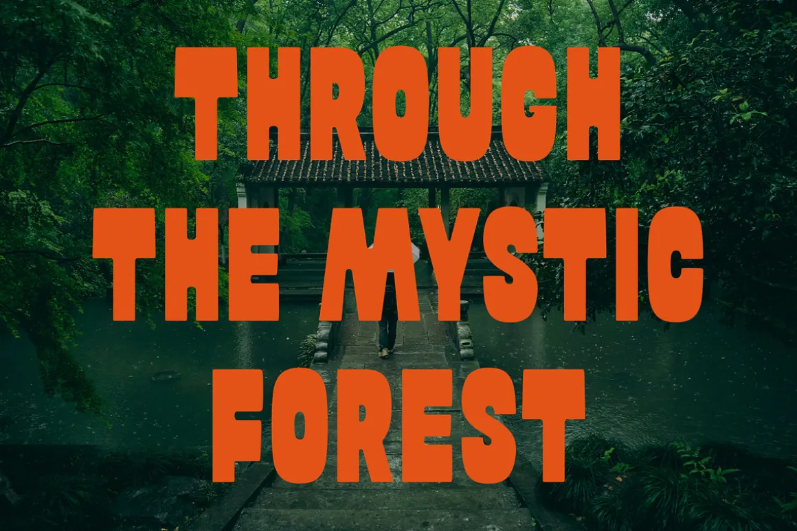 ED Tortona - Display font