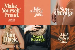 Eighties Comeback Serif (70 fonts)