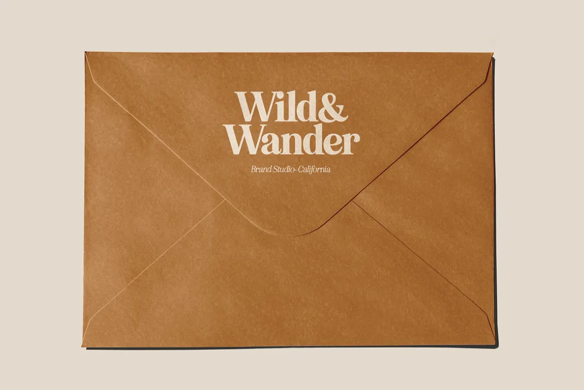 Eighties Comeback Serif (70 fonts)