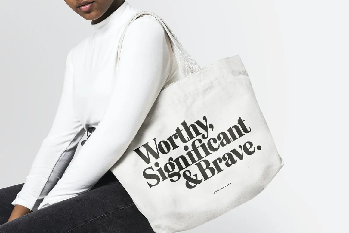 Eighties Comeback Serif (70 fonts)