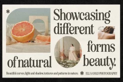 Eighties Comeback Serif (70 fonts)