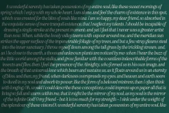 Eighties Comeback Serif (70 fonts)