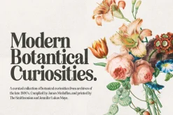 Eighties Comeback Serif (70 fonts)