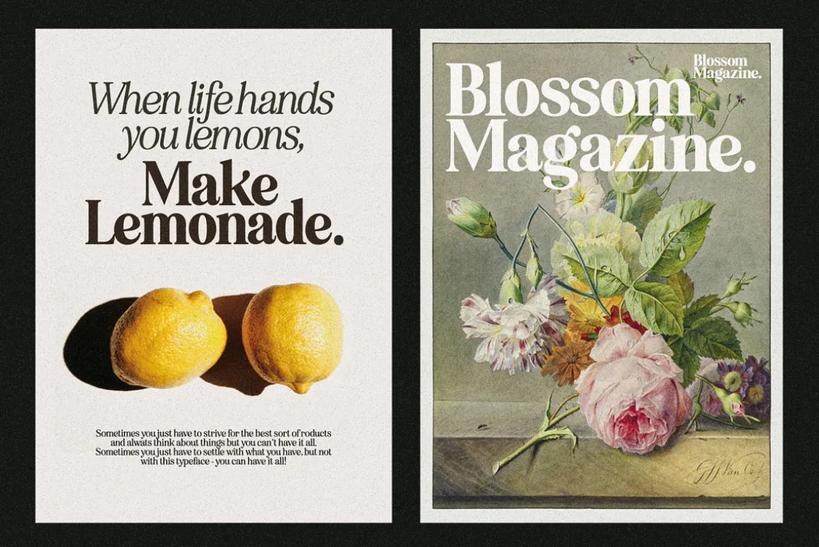Eighties Comeback Serif (70 fonts)