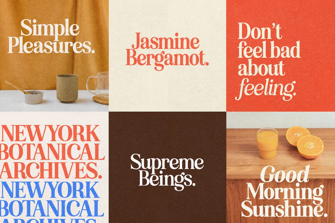 Eighties Comeback Serif (70 fonts)