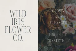 Elantrae – Elegant Modern Serif Font