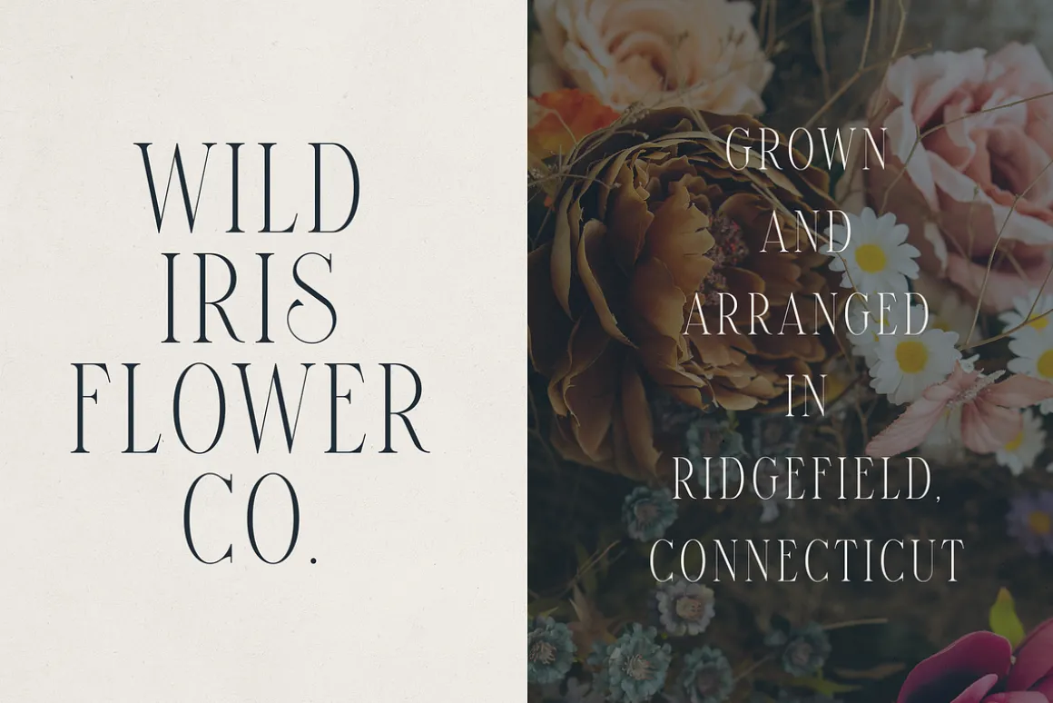 Elantrae – Elegant Modern Serif Font