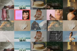 Elegance typography bundle