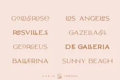 Elegant Karin - Stylish Typeface