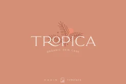 Elegant Karin - Stylish Typeface