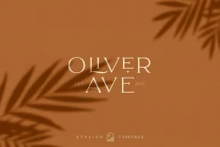 Elegant Karin - Stylish Typeface