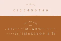 Elegant Karin - Stylish Typeface