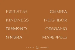 Elegant Karin - Stylish Typeface