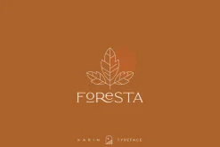 Elegant Karin - Stylish Typeface