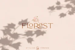 Elegant Karin - Stylish Typeface