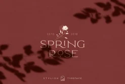 Elegant Karin - Stylish Typeface