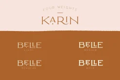 Elegant Karin - Stylish Typeface