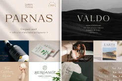 Elegant Serif Font Bundle