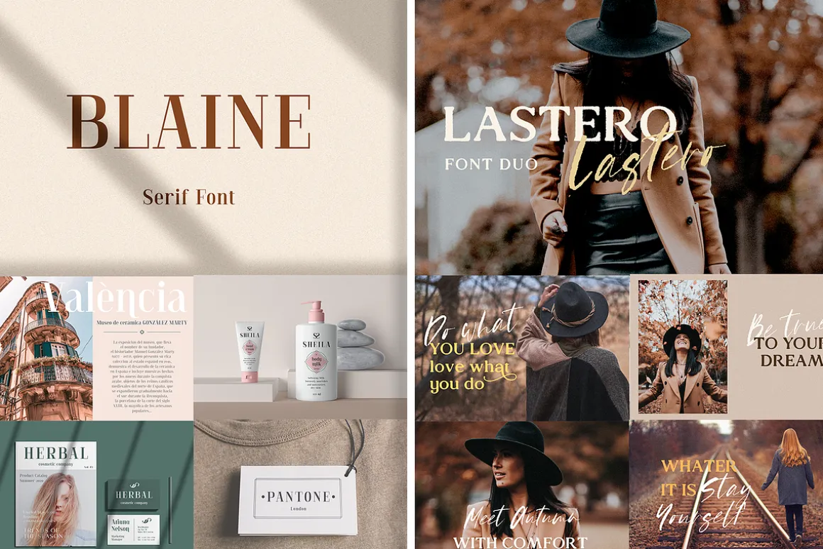 Elegant Serif Font Bundle