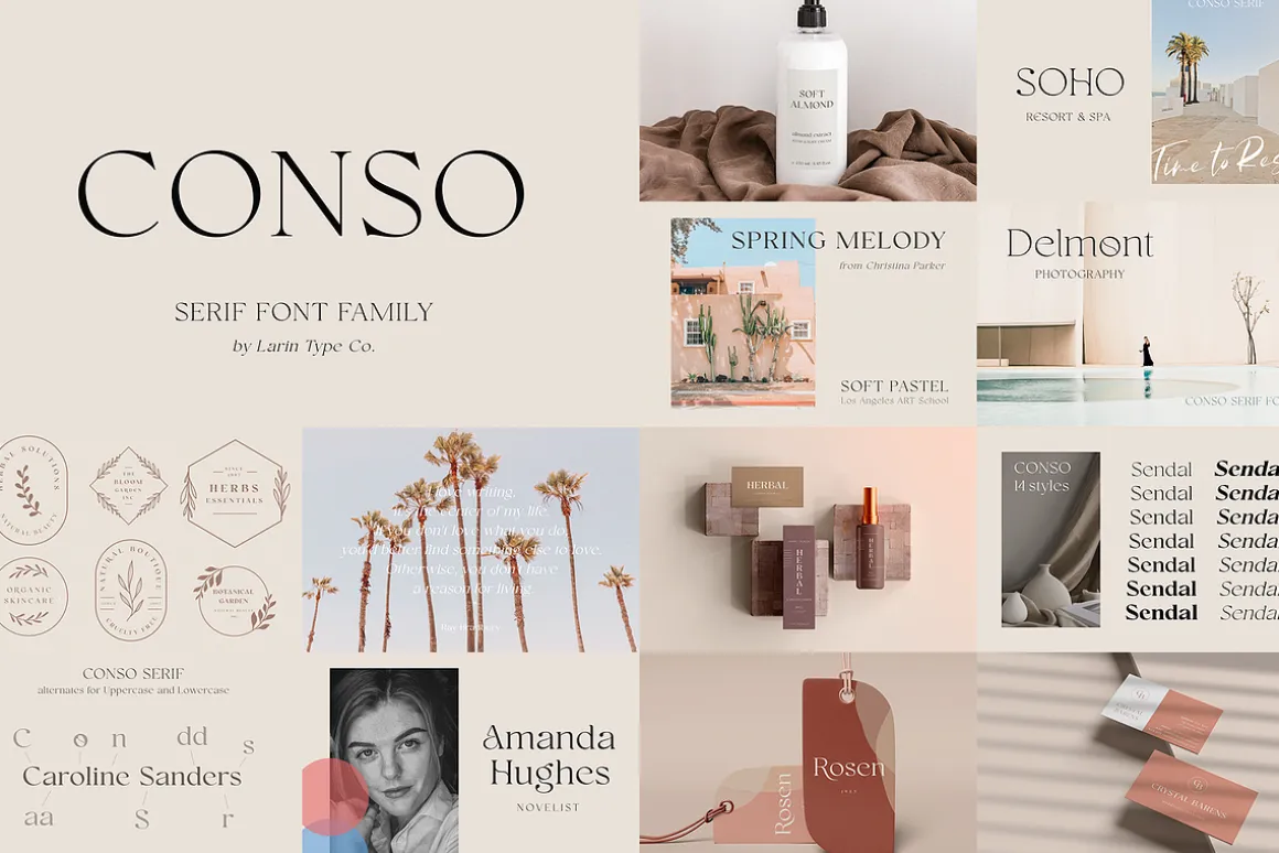 Elegant Serif Font Bundle