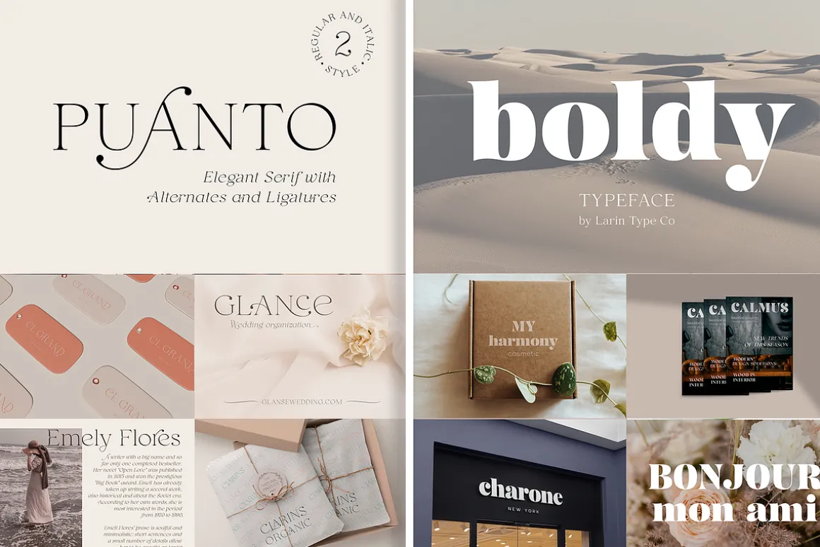 Elegant Serif Font Bundle