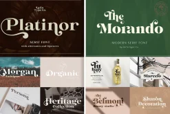 Elegant Serif Font Bundle