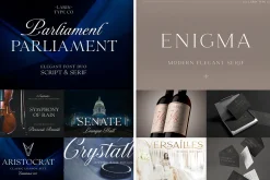Elegant Serif Font Bundle