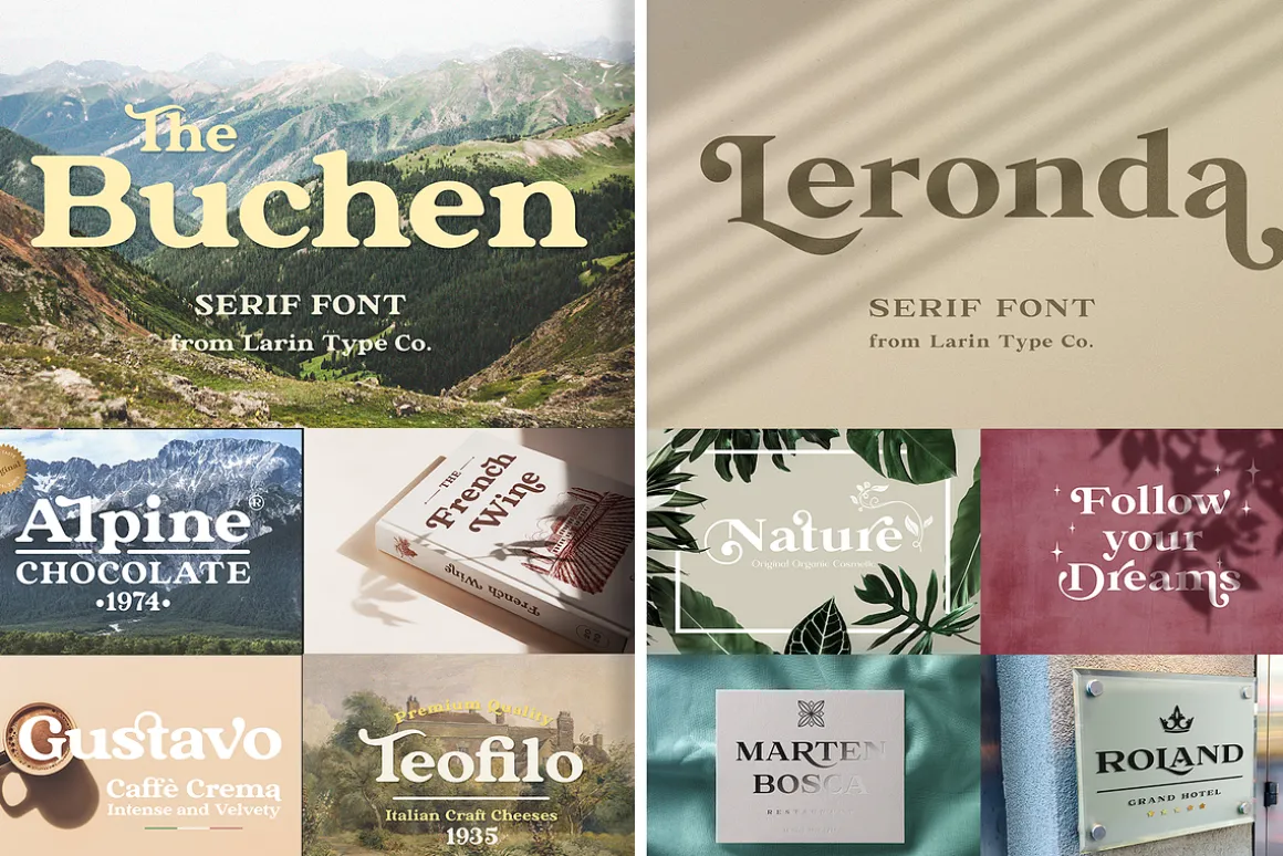Elegant Serif Font Bundle