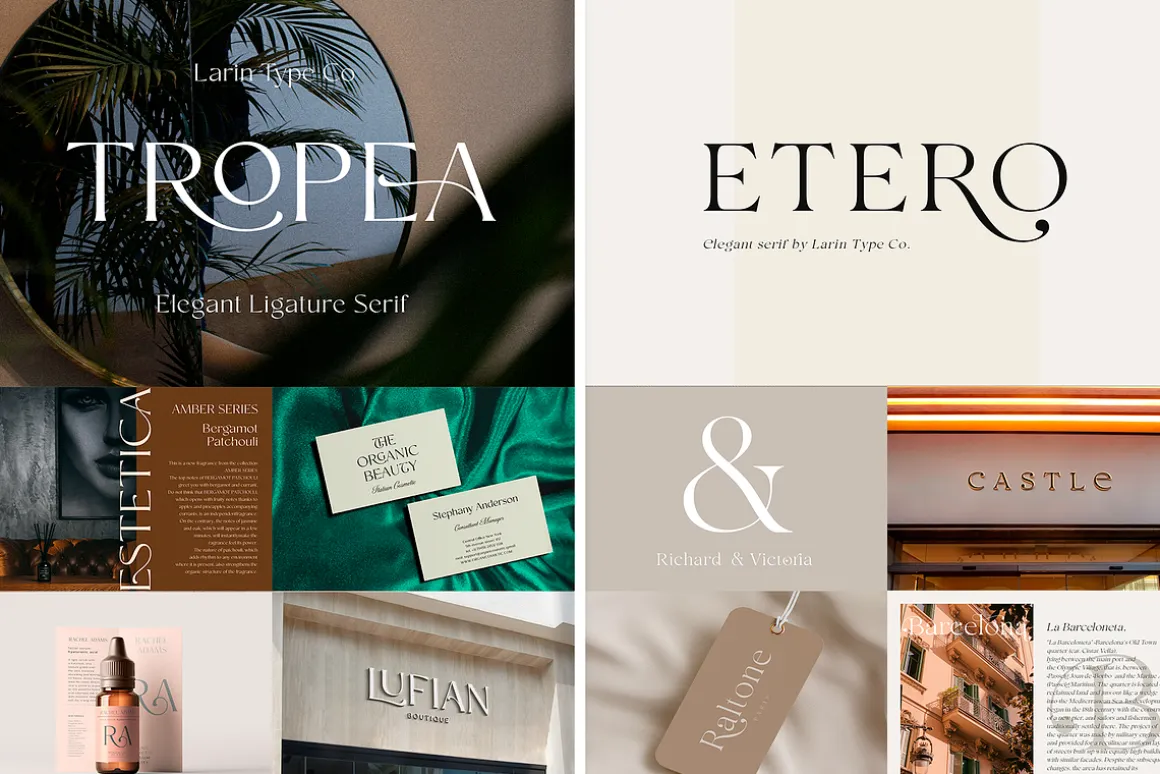 Elegant Serif Font Bundle